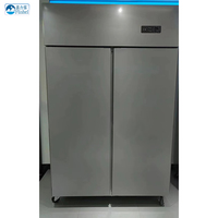 Réfrigérateur vertical multifonctionnel pour cuisine, congélateur à viande Sub Zero