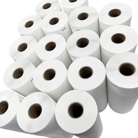 Film DTF à séchage rapide haute température 100gsm/120gsm en rouleau 30cm/60cm/120cm*100m Blanc Facile à découper Facile à appliquer sur textiles 3T