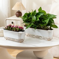 Pots à plantes succulentes blancs durables avec plateau, en plastique transparent respirant, auto-absorbants, pour culture hydroponique, décoration