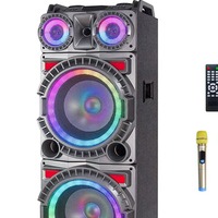 Haut-parleur extérieur 12 pouces à succès avec microphone sans fil, 1000 W de puissance élevée