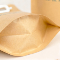 Sac d'emballage en papier kraft liquide pour shampooing biodégradable écologique imprimé sur mesure, pochette debout avec bec verseur