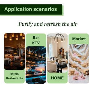 Huile Essentielle Style Plage Côtier pour Diffuseur d'Ambiance, Parfum Brise Marine Fraîche pour Maison, Hôtel et Bureau - Product Image 3