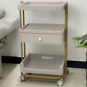 Zxm SS Multi-functional Beauty Salon Furniture Beauty Cart Shelf Mobile Beauty Spa <b>Trolley</b> - Product Image 2