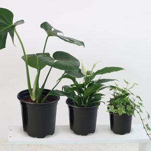 Macetas de Plástico para Flores P16, Contemporáneas para Hogar y Jardín, con Orificios de Drenaje, Moldeadas al Vacío - Product Image 4