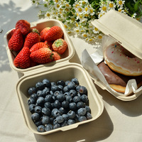 Ins-stijl moderne minimalistische picknick bento box van biologisch afbreekbaar bamboe papier voor dessert, burger, afhaalmaaltijden, fruit en lunch