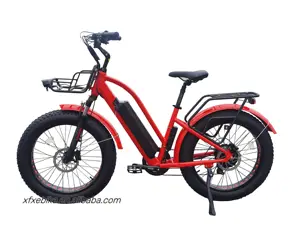 Lithium battery 24/26 inch fat tire electric bike rear hub motor 750w ebike snow/mountain ladies electric bike