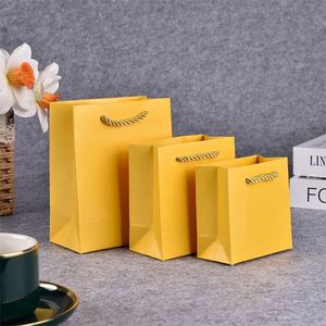 Radiation-Shielded Medical X-Ray Equipment Packaging Various Sizes <b>Lead</b>-Lined Colorful Paper Bags for Promotional Use - Product Image 4