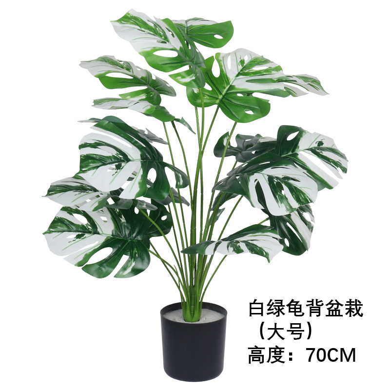 Planta en maceta con forma de tortuga blanca y verde, tamaño grande