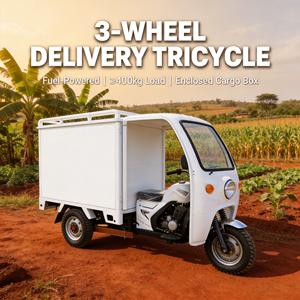 Tricycle de livraison en acier Lubumbashi en promotion, 3 roues, capacité de charge de 400 kg, avec boîte fermée et porte-bagages, idéal pour les commerces dans les villages isolés - Product Image 1