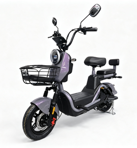 Bicicleta Eléctrica Urbana de Alta <span class=keywords><strong>Calidad</strong></span> para Adultos, Doble Asiento, para 2 Personas, en Oferta - Product Image 1