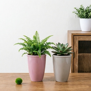 Pot à succulentes en céramique moderne avec bordure perlée pour la décoration intérieure et de bureau - Product Image 3