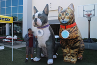 Chat et chien gonflables personnalisés, animaux de compagnie gonflables géants réalistes, décoration publicitaire gonflable