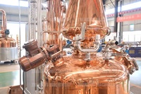 Équipement de distillation ZJ 100-500L, alambic, distillateur hybride, équipement de distillerie de whisky/gin/brandy
