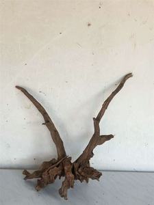 도매 루트 대형 조각 물고기 탱크 장식 자연 드리프트 나무 수족관 - Product Image 2