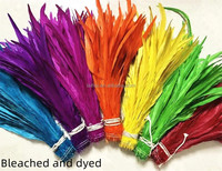 Plumes de coq colorées teintées, enfilées, 25-30 cm, pour la pêche à la mouche, matériaux et accessoires de montage de mouches.