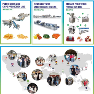 Промышленная мясорубка для замороженного мяса для мясоперерабатывающих предприятий и мясных лавок - Product Image 3
