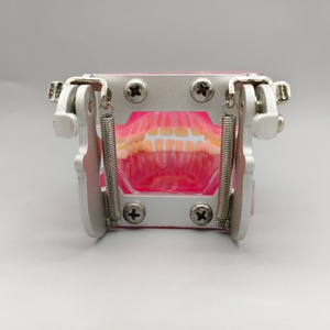 Werks rabatt Weiches Silikon Adult Full Mouth Abnehmbares Zahn modell für medizinische und pädagogische Zwecke - Product Image 5