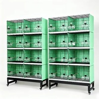 Cage d'élevage d'oiseaux empilable en métal style villa de luxe, volière multi-niveaux avec séparateur en maille, plateau en plastique, boîte pour perroquets