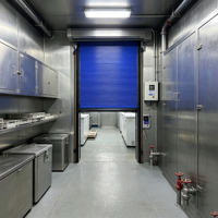 Porte rapide moderne en PVC, automatique, pour atelier sans poussière, volet roulant en PVC à induction, volet roulant électrique pour entrepôt