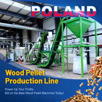RICHI Pologne Usine de granulés de bois à succès, personnalisable, clé en main, conforme ENplus, Granulateur Do Trocin