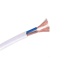 Sauerstofffreier Kupferkern Mehradriges RVVB PVC-Isoliertes 450/750V Flachparallel-Isoliertes Kabel Weiß Haushalt Doppelader 2*4mm