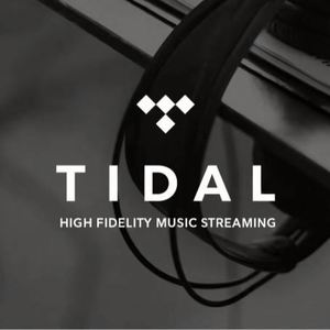 Suscripción Premium a Tidal Music por 12 Meses, Cuentas Tidal, Tidal Hifi Plus 1 Año - Product Image 2