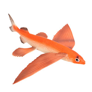 Sólido PVC simulación mar vida modelo plástico mar anémonas figuras marinas océano Animal figuritas Juguetes - Product Image 2