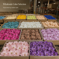 Grande tête de fleur de magnolia artificielle multicolore 3D pour décoration florale DIY mariage maison fête