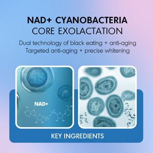 Etiqueta privada Cuidado DE LA PIEL Suero facial NAD Cianobacterias Reparación de ADN antienvejecimiento Reafirmante facial Objetivos antiarrugas Manchas oscuras negras - Product Image 2