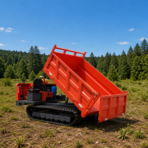 Minidumper diésel sobre orugas, diésel, <span class=keywords><strong>el</strong></span>éctrico, minero, 500 kg, 3 toneladas, con operador a pie, hidráulico, con orugas, China 1 - Product Image 1