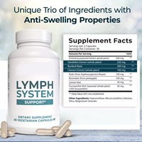 Capsules détox personnalisées pour le système lymphatique, soutien immunitaire et thyroïdien, complément à base de plantes pour adultes - Fabrication sous marque privée, 60 unités
