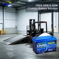 Batterie de traction LiFePO4 LFP de qualité automobile 24V 300Ah pour entrepôt d'usine, résistante aux vibrations, certifiée CE RoHS UL FCC IP67, vente en gros