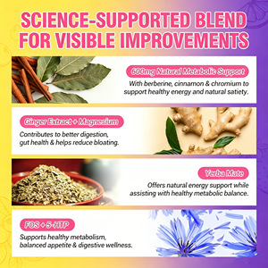 Oferta Especial: 10 Sobres de Bebida en Polvo para Energía y Salud Intestinal, con Magnesio, Berberina, Yerba Mate y FOS, Sabor Fresa Sin Azúcar - Product Image 4
