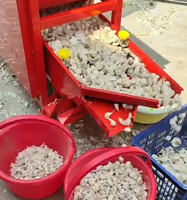 Machine à fendre l'ail avec tamis multi-couches pour l'extraction des gousses d'ail