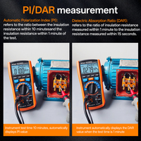 Testeur d'isolation Vicimeter PI DAR TIME VC1508PD 2.5kV 50GΩ, multimètre avec télécommande et câble de test