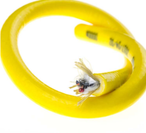 3 Core <strong>1MM</strong> Waterproof Power Wire+<strong>Single</strong> Mode Fibre Optic Neutral Buoyancy <strong>Cable</strong> - Product Image 2