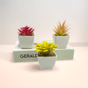 <span class=keywords><strong>Mini</strong></span> <span class=keywords><strong>Palmier</strong></span> Artificiel Réaliste Succulent Design De Luxe Mariage Étagère De Noël Décor De Bureau dans Un <span class=keywords><strong>Pot</strong></span> <span class=keywords><strong>En</strong></span> Plastique Blanc - Product Image 2