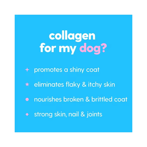 Bán buôn cao cấp Dog Collagen chất lỏng giọt chất lỏng uống 60ml 5 loại cỏ-Fed Collagen Biotin Hyaluronic Axit cho miễn dịch - Product Image 5