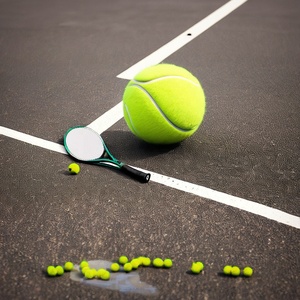 Factory Outlet Raqueta <span class=keywords><strong>DE</strong></span> <span class=keywords><strong>TENIS</strong></span> larga Mini antivibrador Raquetas negras Venta caliente Raquetas <span class=keywords><strong>de</strong></span> <span class=keywords><strong>tenis</strong></span> - Product Image 3