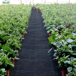 Toile tissée <span class=keywords><strong>anti</strong></span>-mauvaises herbes de qualité supérieure, couverture de sol agricole, <span class=keywords><strong>traitement</strong></span> <span class=keywords><strong>anti</strong></span>-UV, toile <span class=keywords><strong>anti</strong></span>-mauvaises herbes pour jardin, ferme, plantation - Product Image 6