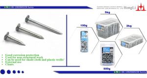 Clous pour toiture de plafond galvanisés de <span class=keywords><strong>1</strong></span> po, fabriqués en usine - Product Image 3