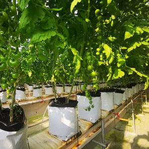 Coco Coir Open Top Grow Bag Black White Color Soilless Cultivation 1000 mL Capacity Nursery PE for <b>Vegetable</b> Flower Plant - Product Image 3
