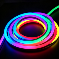 Bande LED néon flexible RGB adressable 12V étanche IP67 en silicone noir avec Wi-Fi / Longueur personnalisée USB