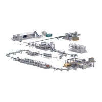 Ligne de Production Entièrement Automatique à Haute Vitesse pour Eau Minérale Potable 500ml, 12000 Bouteilles par Heure, Projet Complet Pneumatique Z, Sally Chine