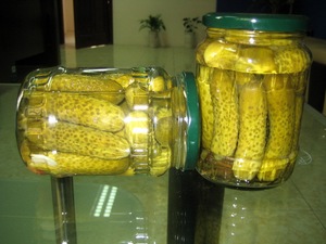 Dưa chuột ngâm từ Việt Nam ướp với muối và Thì Là Dưa chuột ngâm trong lọ hoặc thuyền trống của dưa chua thì Là/ms. Lima - Product Image 2