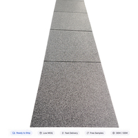 Dalles en caoutchouc EPDM colorées, couleur personnalisée, antidérapantes, imperméables, pour salles de sport modernes, studios de fitness, service OEM