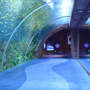 <span class=keywords><strong>Tunnel</strong></span> <span class=keywords><strong>sous</strong></span>-<span class=keywords><strong>marin</strong></span> acrylique personnalisé Prima, <span class=keywords><strong>tunnel</strong></span> <span class=keywords><strong>sous</strong></span>-<span class=keywords><strong>marin</strong></span> de piscine avec verre acrylique - Product Image 3