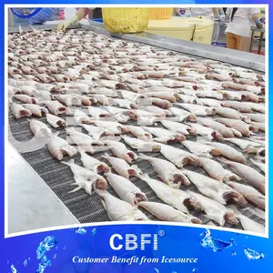 Pabrik Impingement Iqf terowongan Freezer untuk seluruh ikan dengan produktivitas tinggi