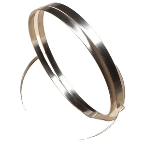 แหวนนำไฟฟ้าแบบมาตรฐานสำหรับการอบชุบนิกเกิล, แถบนิกเกิล - Product Image 1