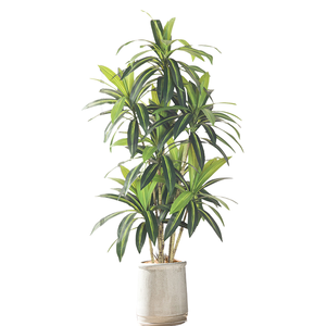 Faux bambou porte-bonheur en pot, <span class=keywords><strong>dracaena</strong></span> artificiel de luxe pour la décoration intérieure moderne, plante d'intérieur, décoration de Noël, Pâques, écologique - Product Image 6
